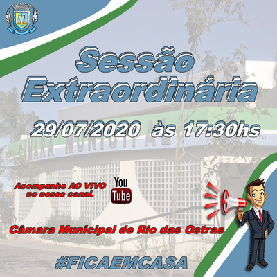 Sessão Extraordinária 29/07/2020