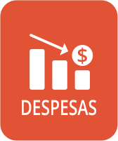 Despesas 